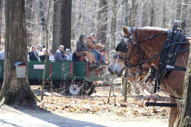 MSD Wagon Rides