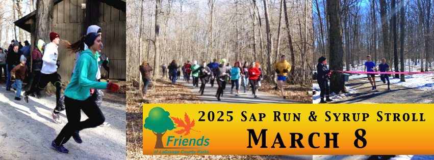 2025 Sap Run & Syrup Stroll